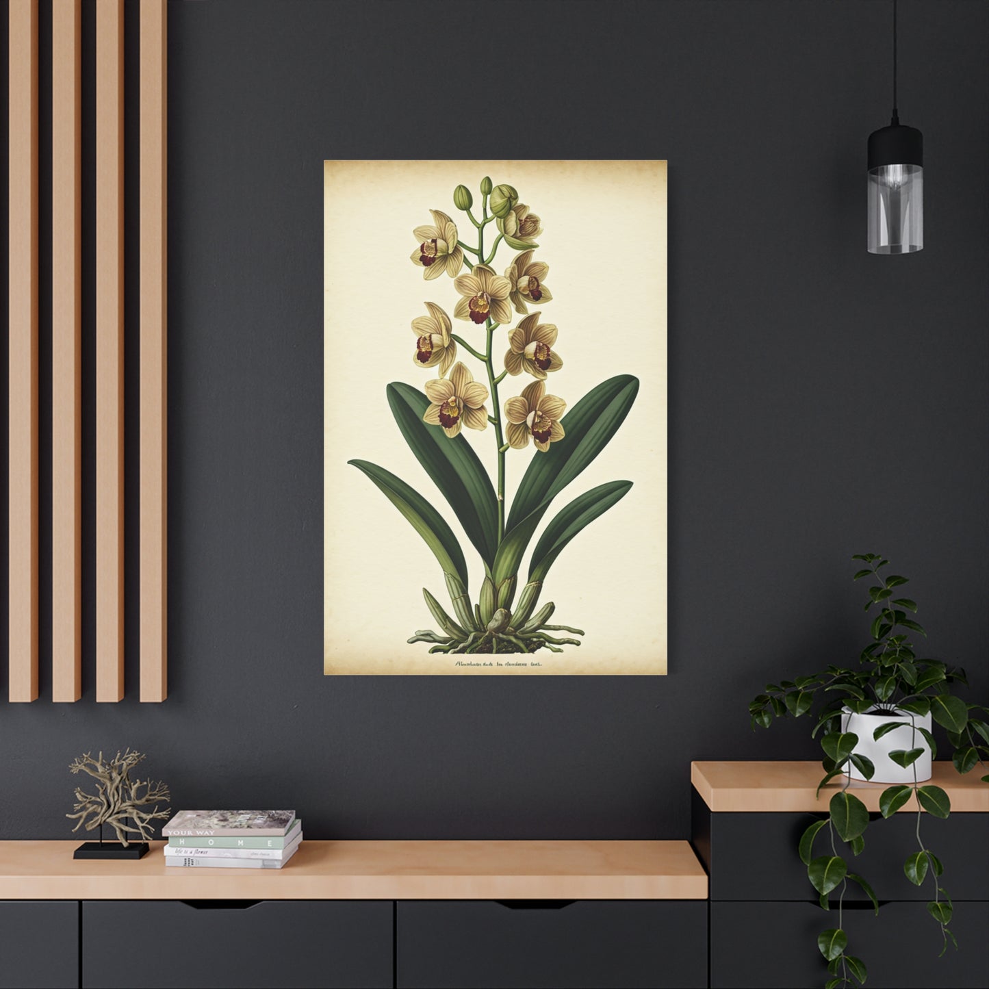 Vintage Wildflower Study Wall Art & Canvas Prints