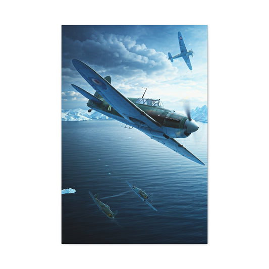 Aerial Combat Dive Action Wall Art & Canvas Prints