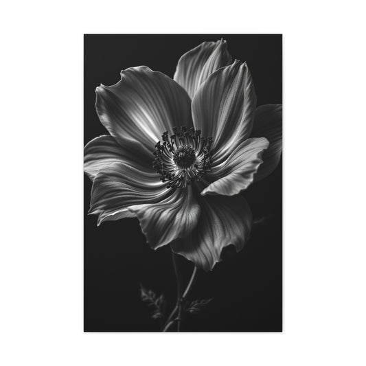 Anemone Bloom with Dramatic Center Wall Art & Canvas Prints