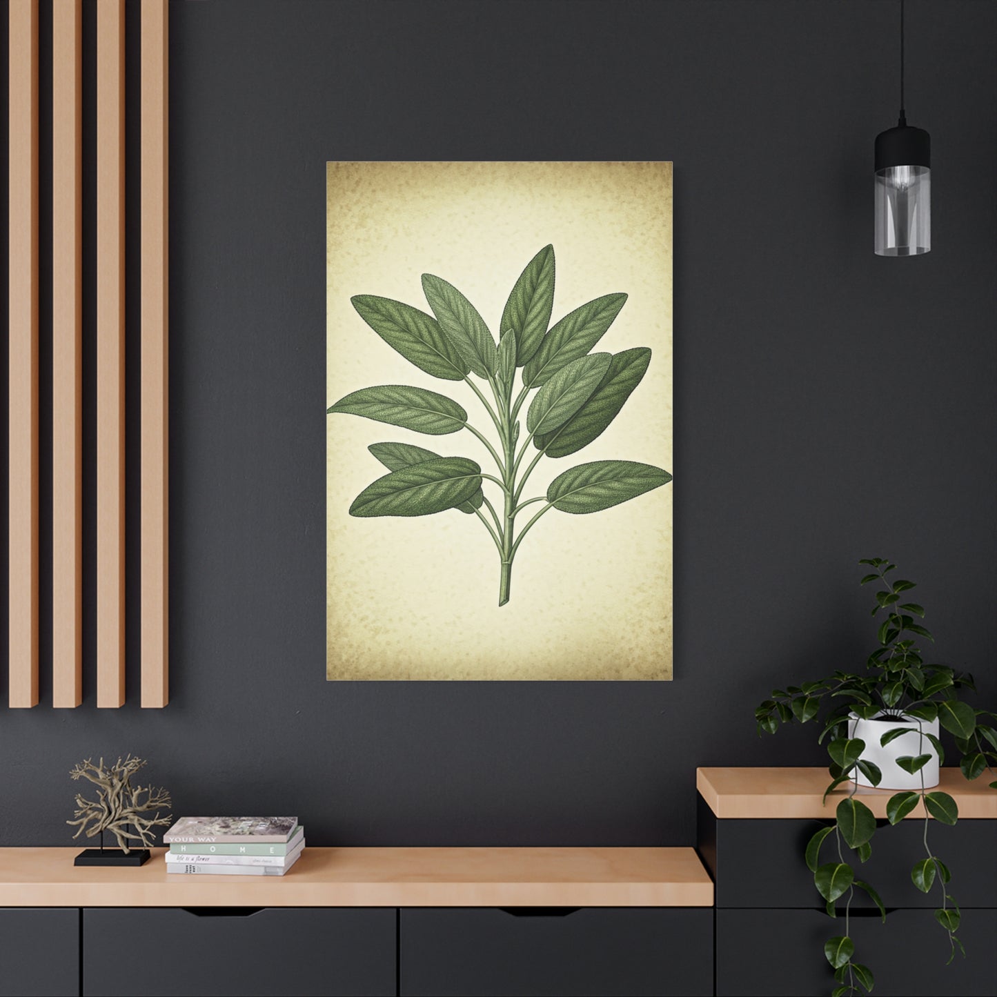 Sage Leaf Medicinal Illustration Wall Art & Canvas Prints
