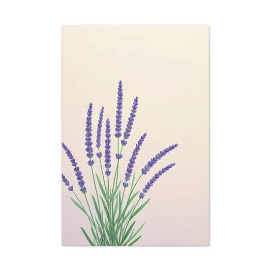 Lavender Botanical Minimal Illustration Wall Art & Canvas Prints
