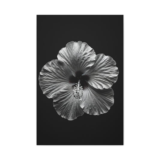 Monochrome Hibiscus Elegance Wall Art & Canvas Prints