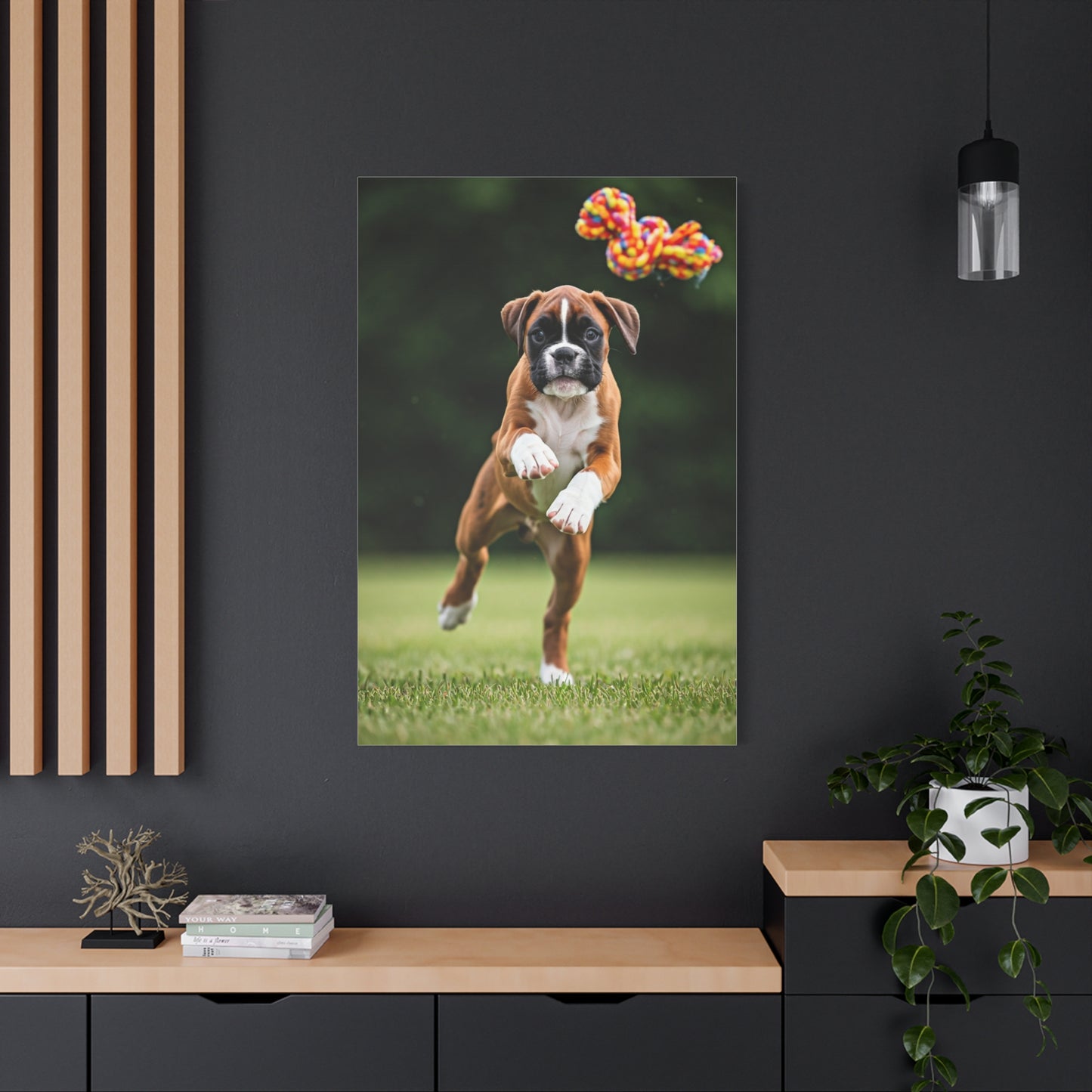 Playful Leap Boxer Wall Art & Canvas Print