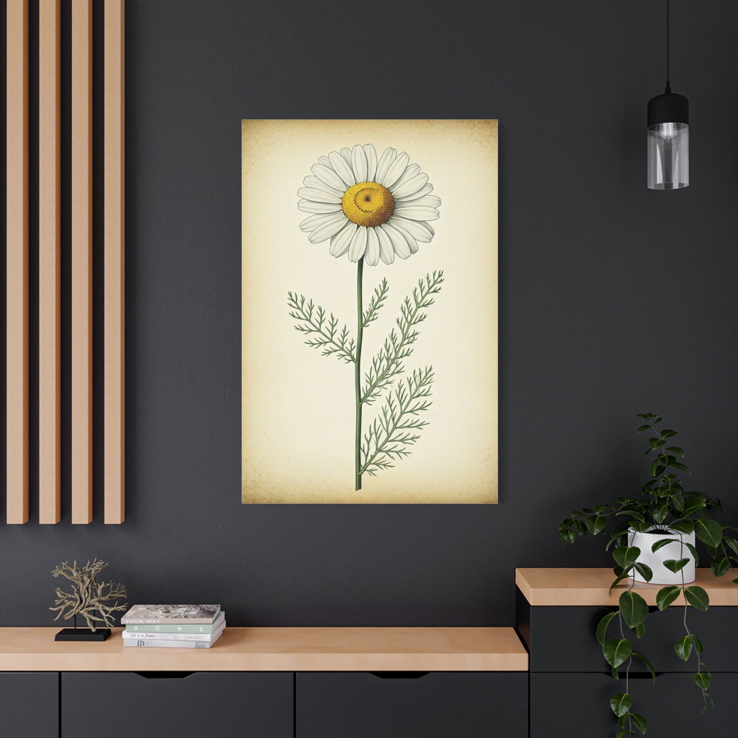 Chamomile Flower Herbal Illustration Wall Art & Canvas Prints