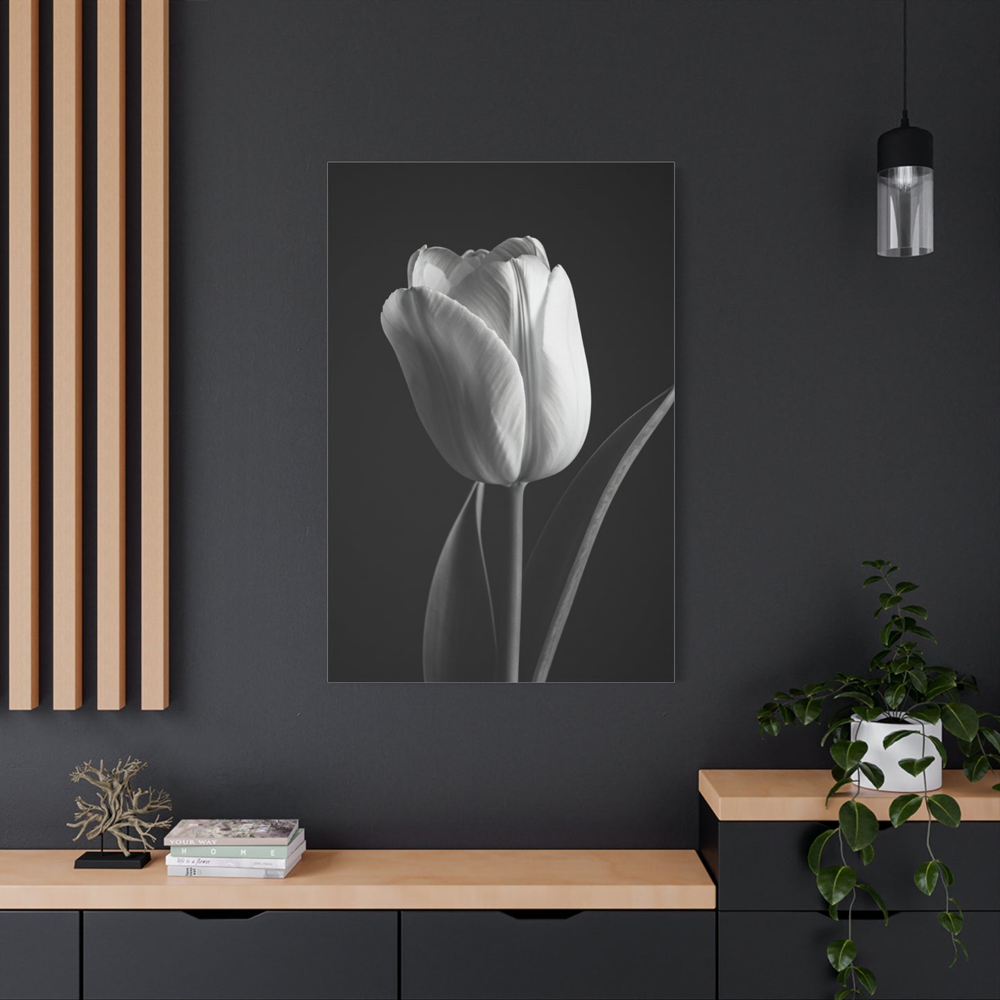Single Tulip Elegance Monochrome Wall Art & Canvas Prints