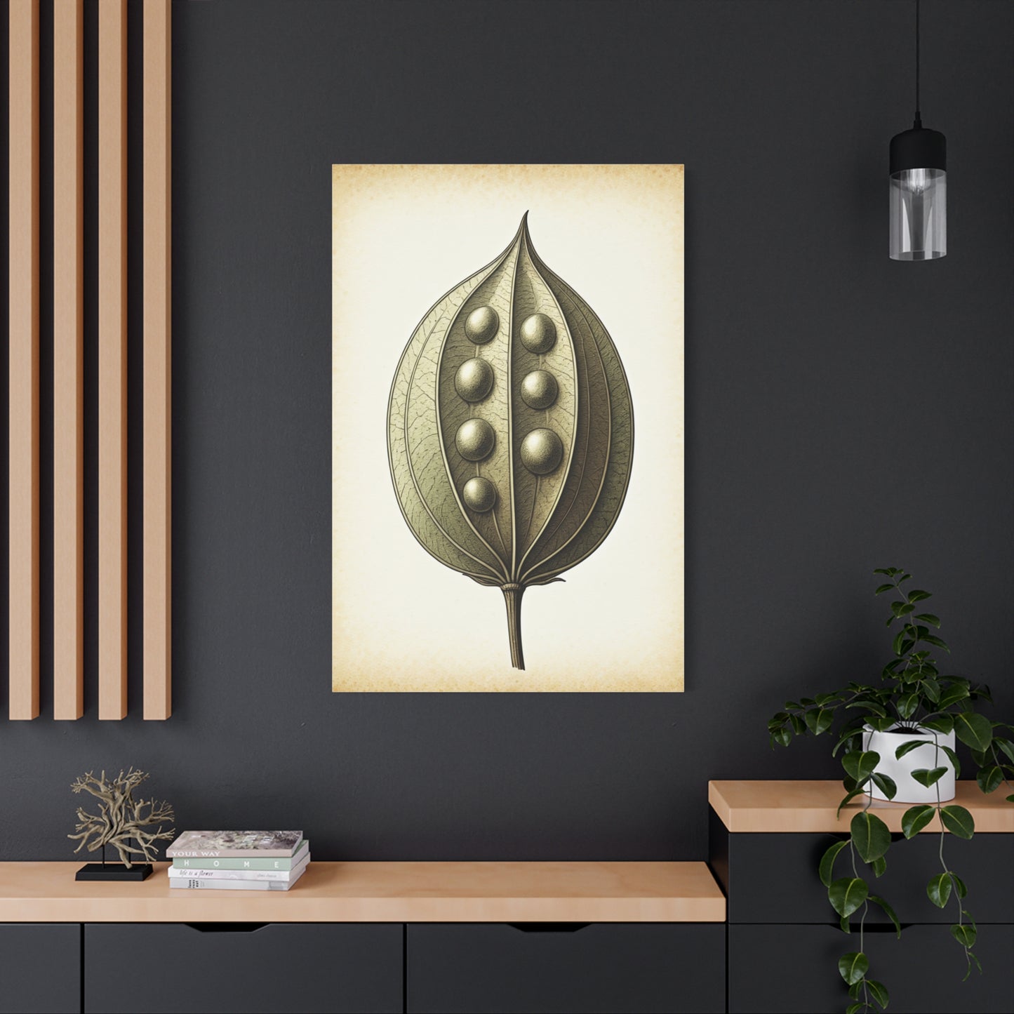 Seed Pod Study Wall Art & Canvas Prints