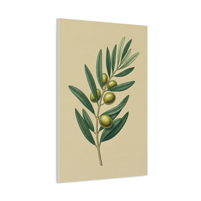 Olive Branch Study Wall Art & Canvas Prints