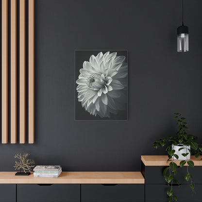 Silver Dahlia Blossom Wall Art & Canvas Prints