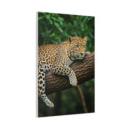 Leopard Resting in Jungle Canopy Wall Art & Canvas Prints