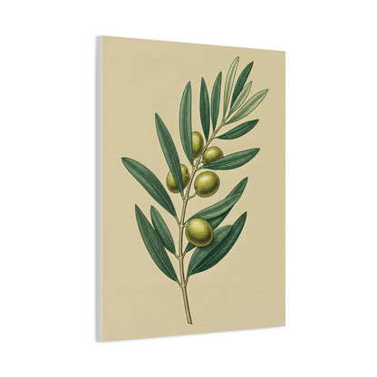Olive Branch Study Wall Art & Canvas Prints