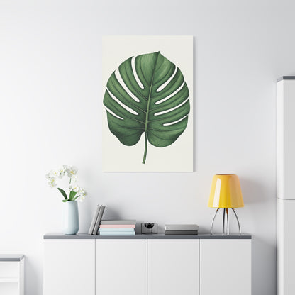 Monstera Leaf Illustration Wall Art & Canvas Prints