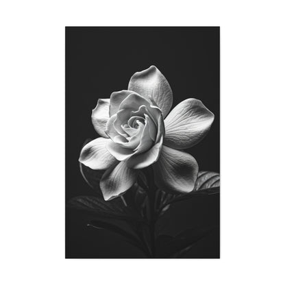 Romantic Garden Rose Monochrome Wall Art & Canvas Prints