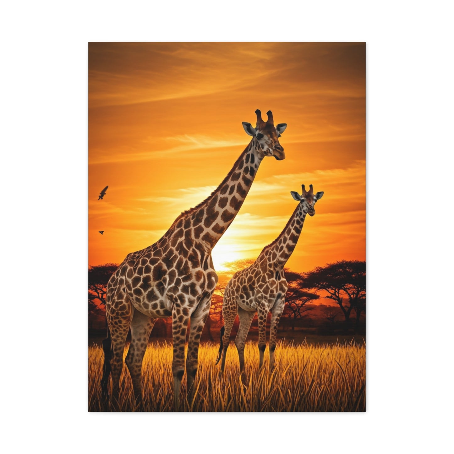 Giraffe Family at Golden Sunset Wall Art & Canvas Prints