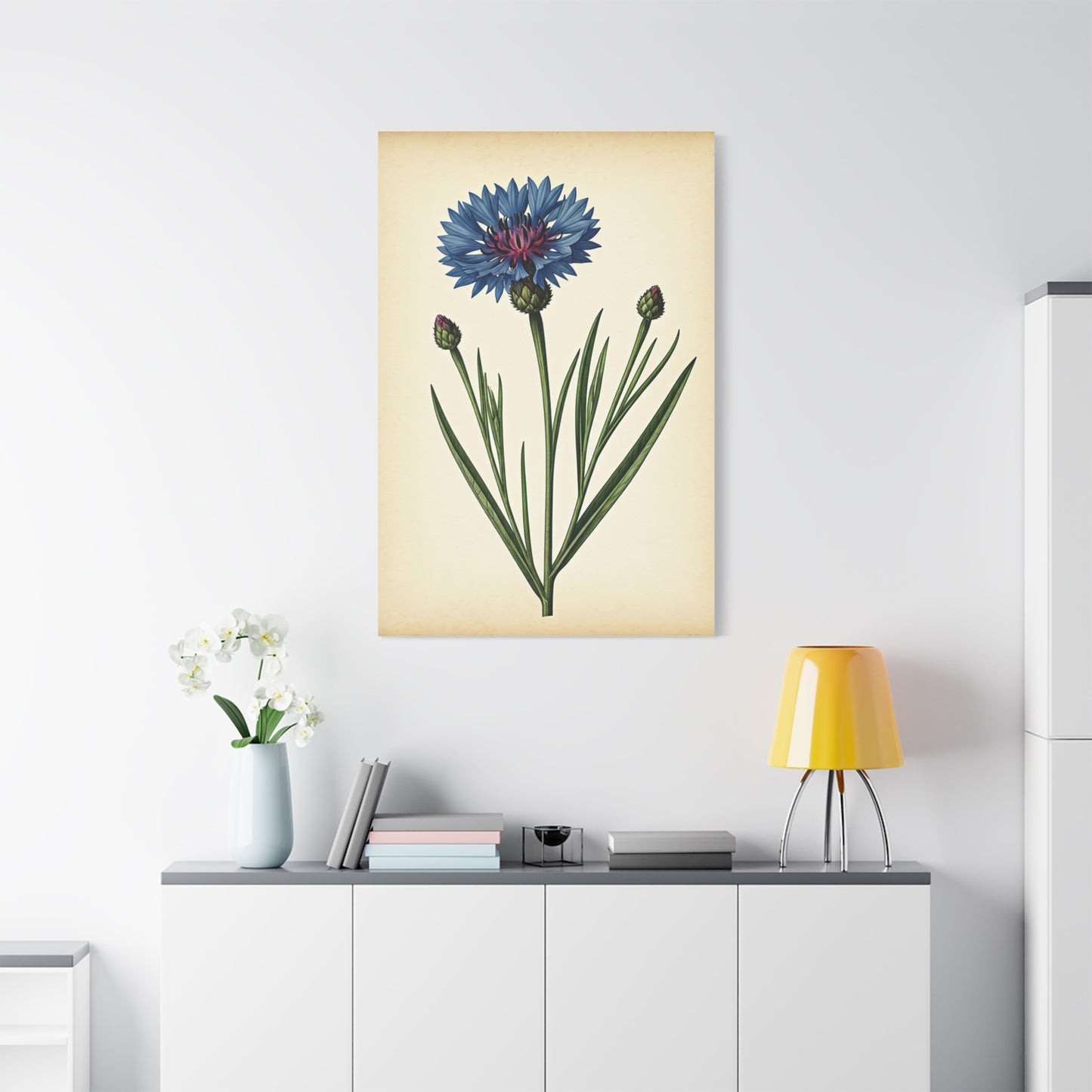 Cornflower Wildflower Illustration Wall Art & Canvas Prints