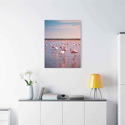 Crocodile Sunset Waterscape Wall Art & Canvas Prints