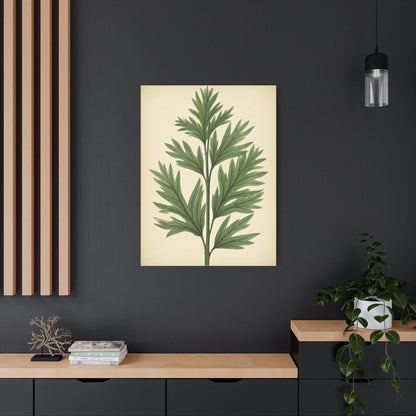 Botanical Herb Study Vintage Wall Art & Canvas Prints