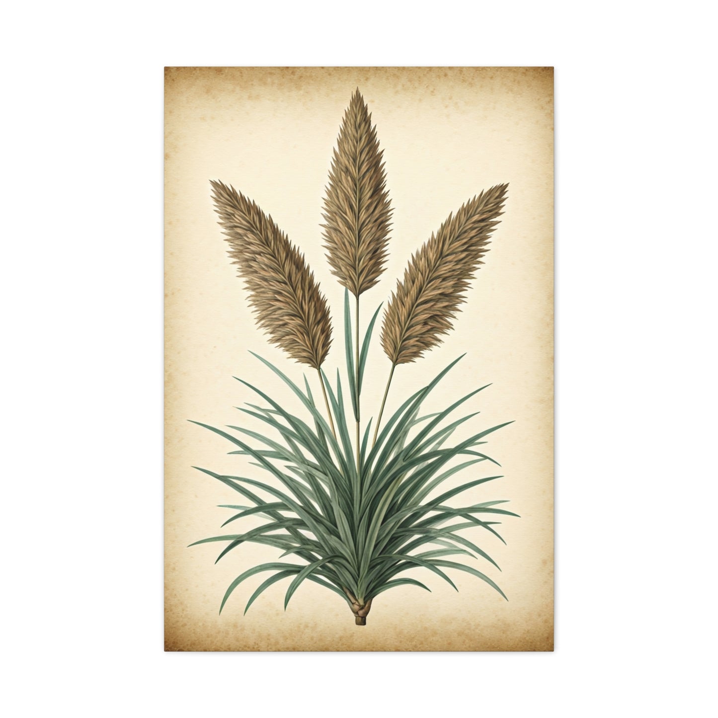 Wild Grass and Seed Heads Illustration Wall Art & Canvas Prints
