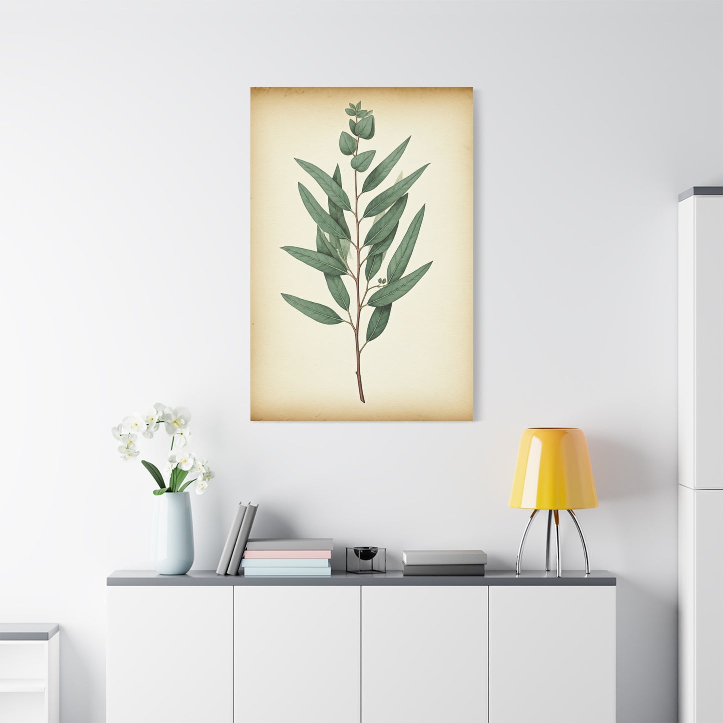 Eucalyptus Branch Illustration Wall Art & Canvas Prints