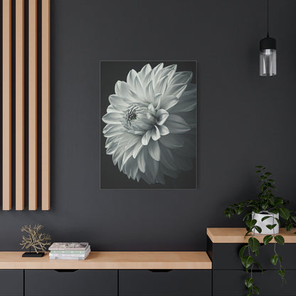 Silver Dahlia Blossom Wall Art & Canvas Prints