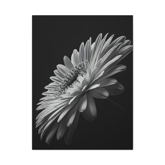 Angled Bloom with Bud Detail Wall Art & Canvas Prints