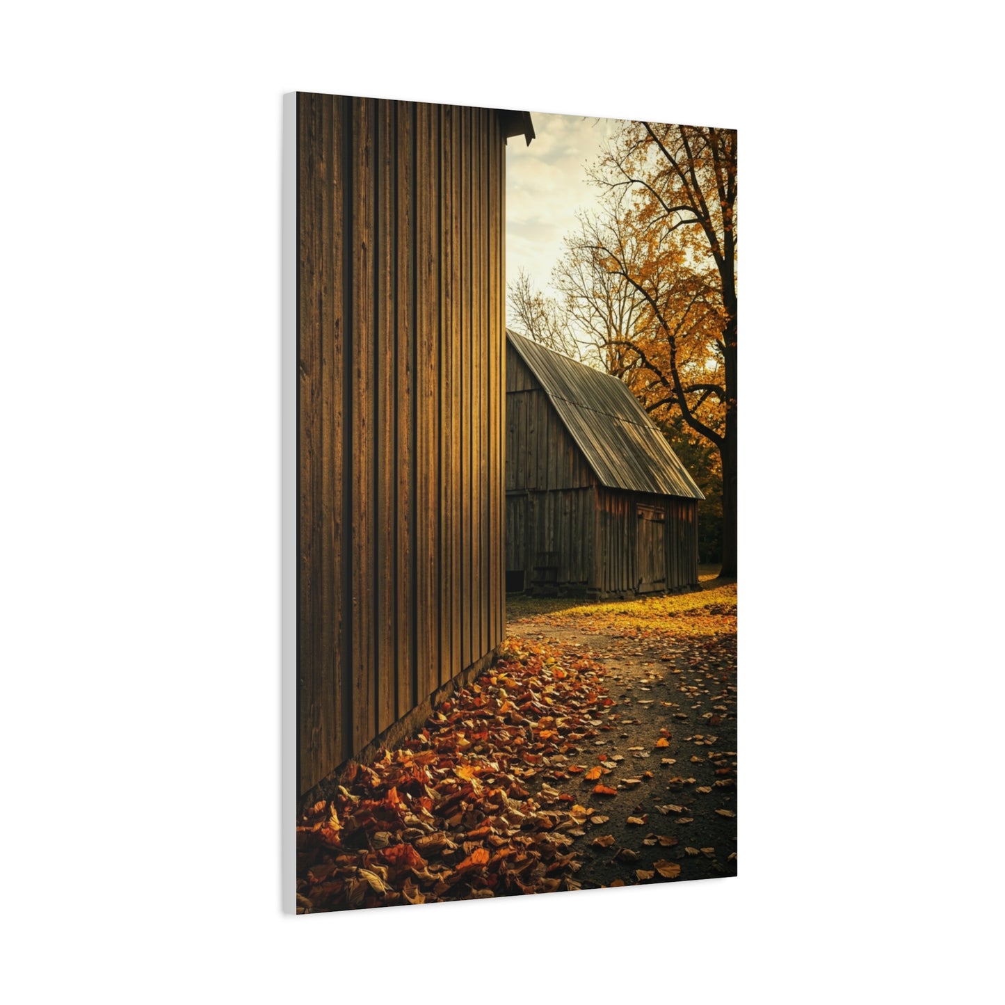 Autumn Path Beside the Old Barn Wall Art & Canvas Prints