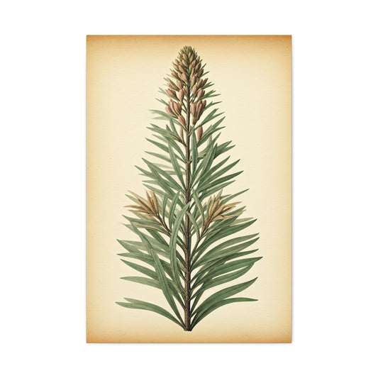 Vintage Fern Study Wall Art & Canvas Prints