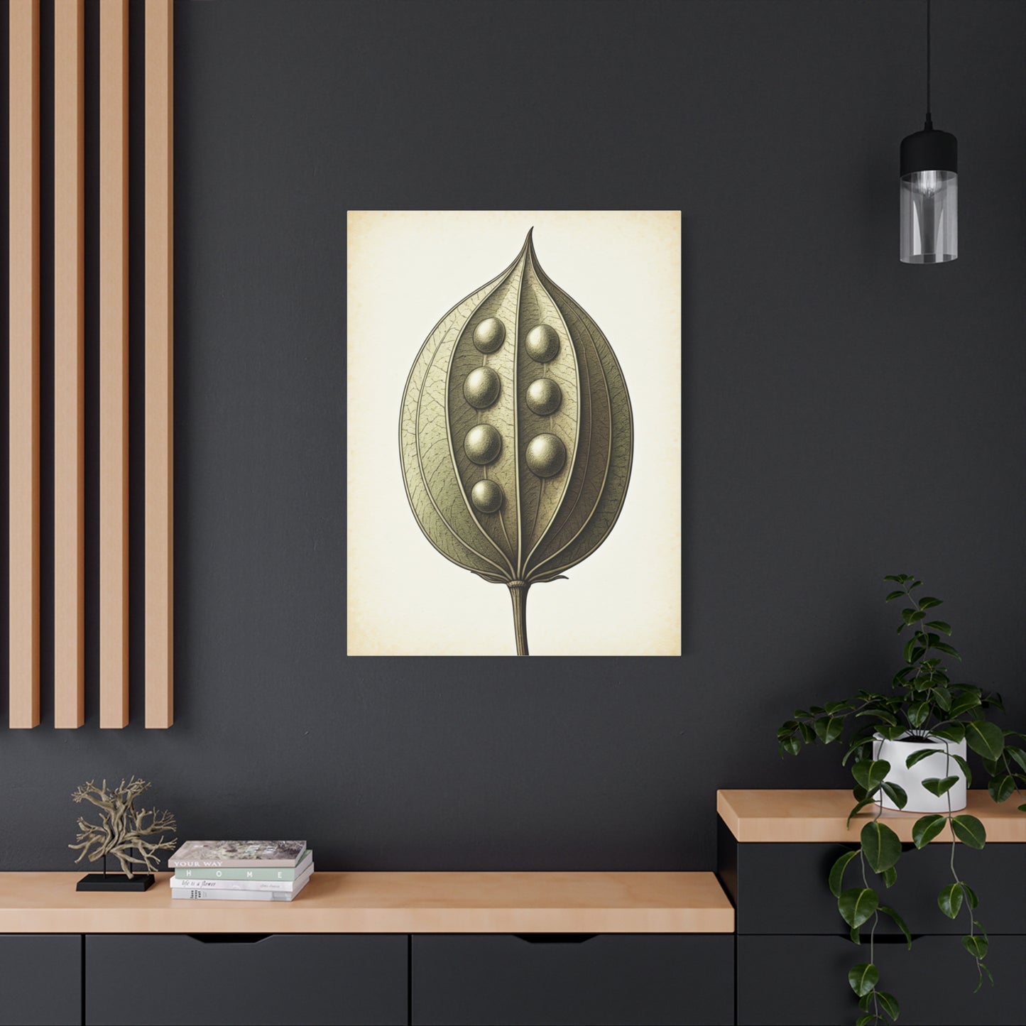 Seed Pod Study Wall Art & Canvas Prints