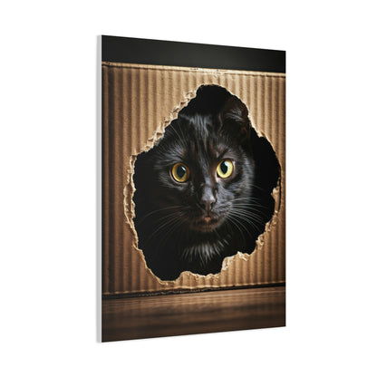 Curious Black Cat Peek Wall Art & Canvas Prints