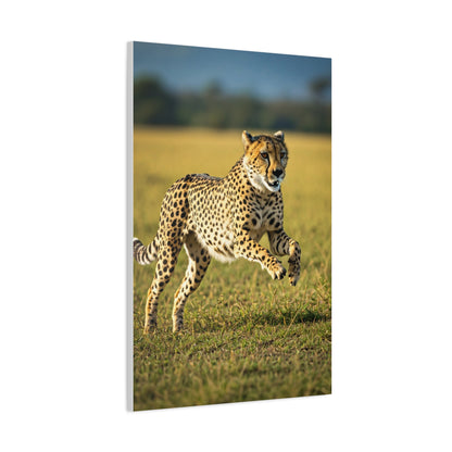 African Sunset Baobab Trail Wall Art & Canvas Prints