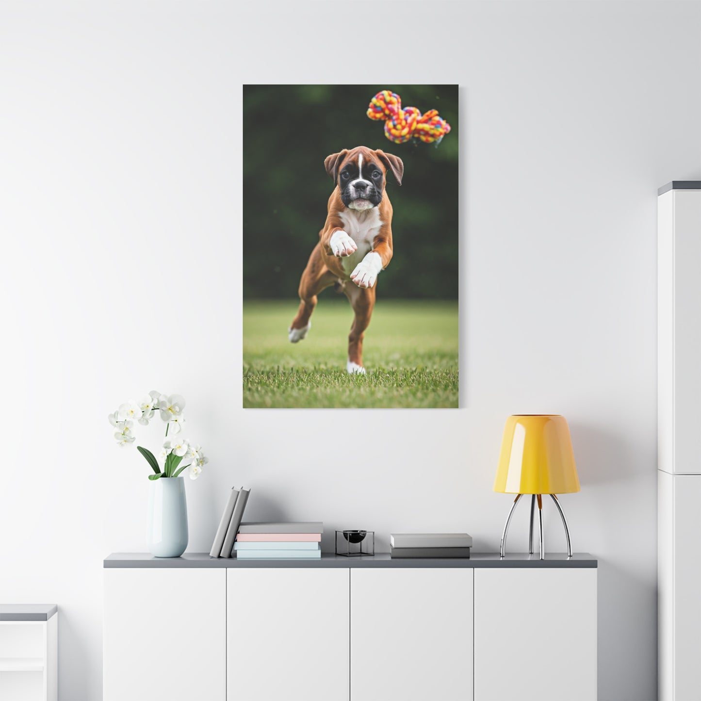 Playful Leap Boxer Wall Art & Canvas Print