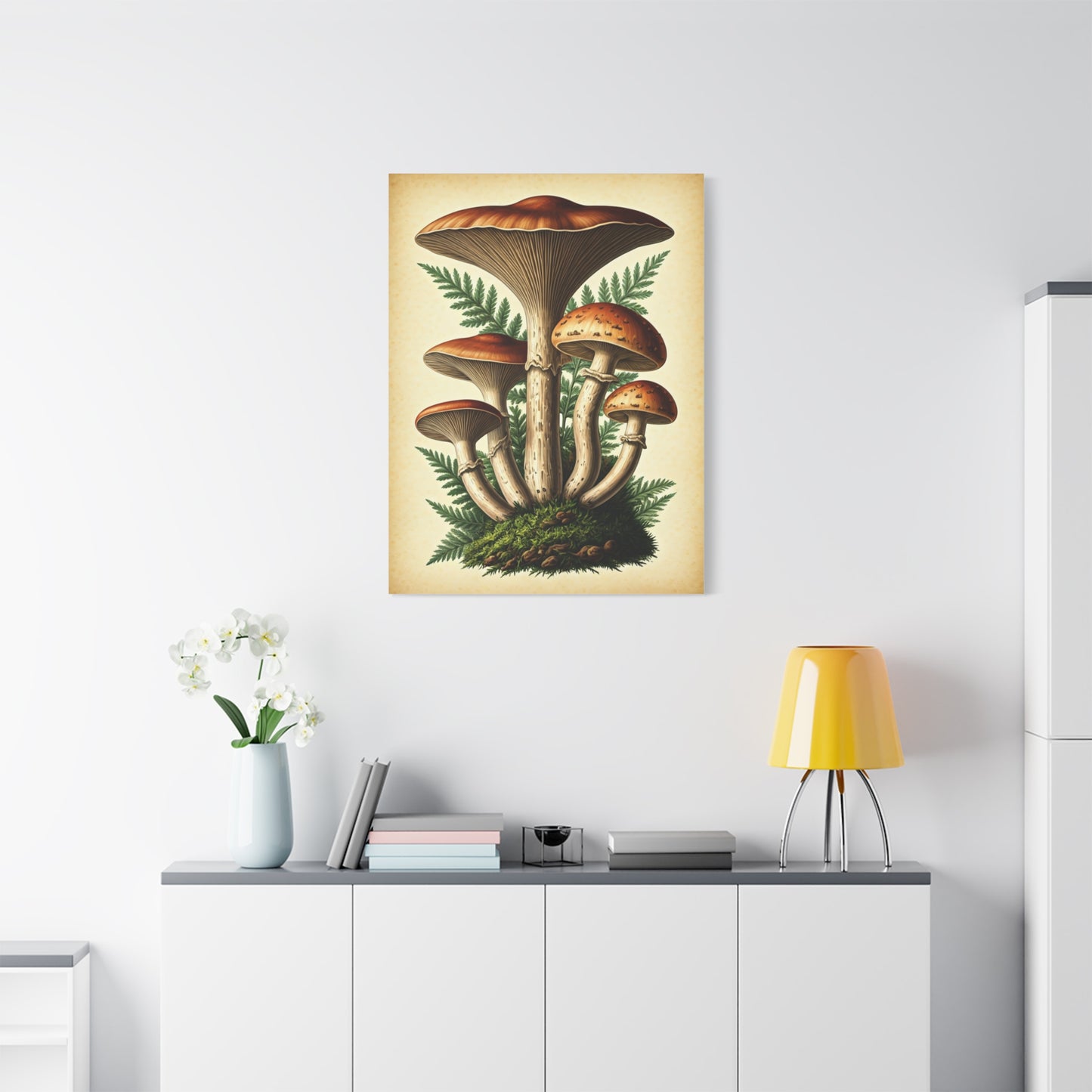 Mushroom Illustration Collection Wall Art & Canvas Prints