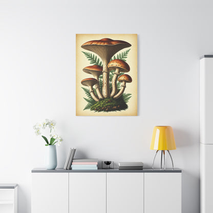 Mushroom Illustration Collection Wall Art & Canvas Prints