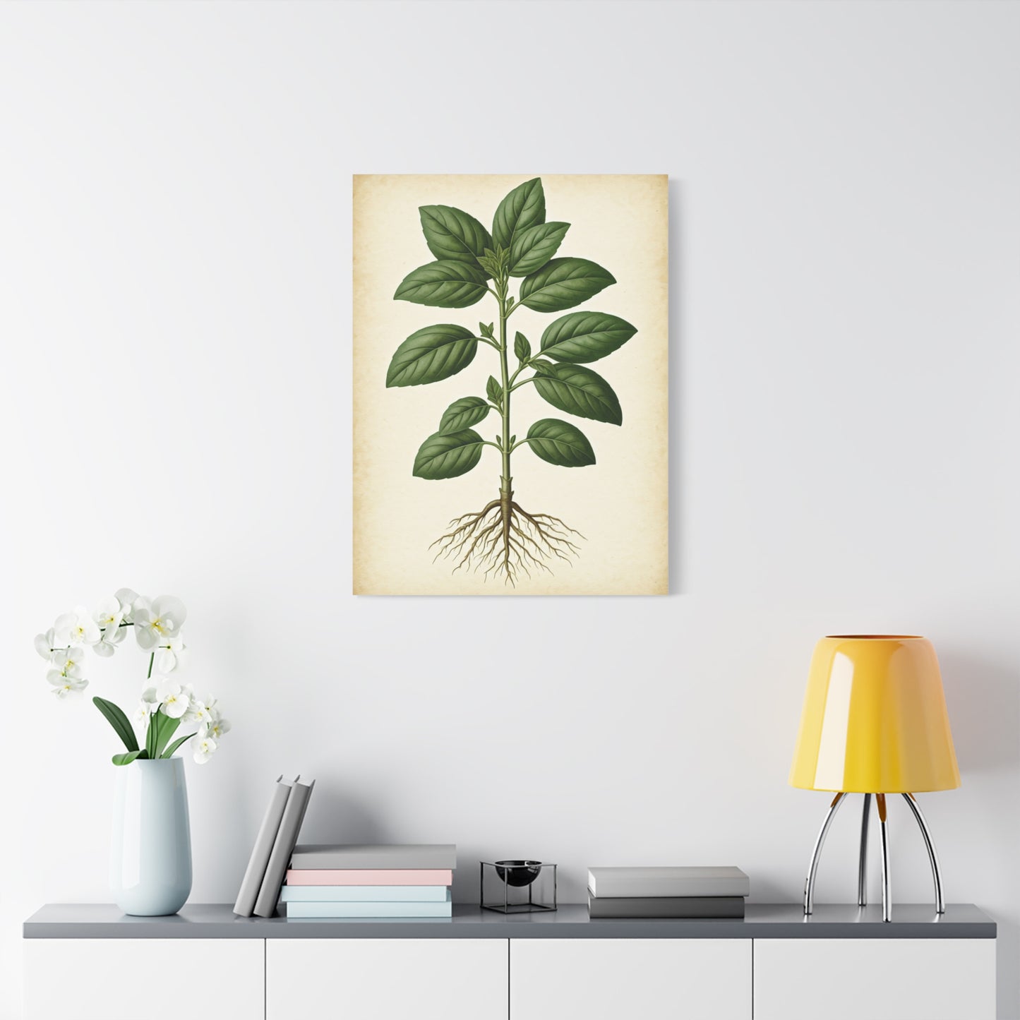 Basil Plant Herbal Illustration Wall Art & Canvas Prints