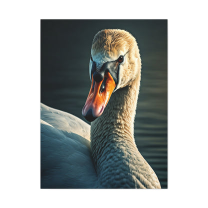 Serene Swan Reflection Wall Art & Canvas Prints