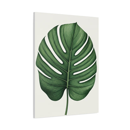 Monstera Leaf Illustration Wall Art & Canvas Prints