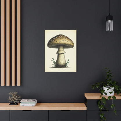 Woodland Toadstool Illustration Wall Art & Canvas Prints