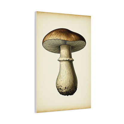 Mushroom Study Wall Art & Canvas Prints