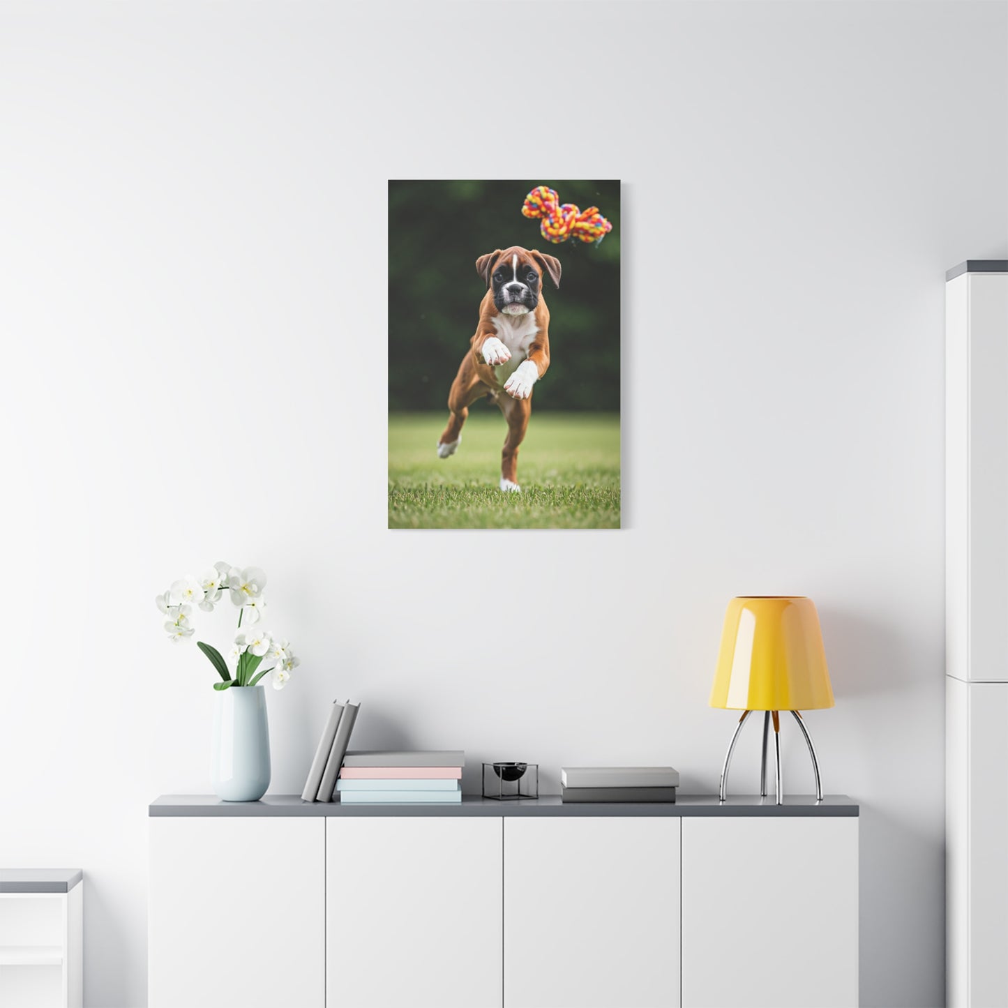 Playful Leap Boxer Wall Art & Canvas Print