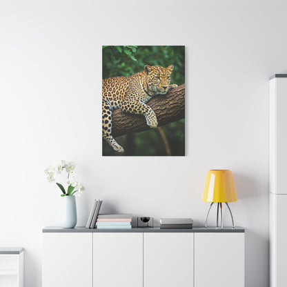 Leopard Resting in Jungle Canopy Wall Art & Canvas Prints