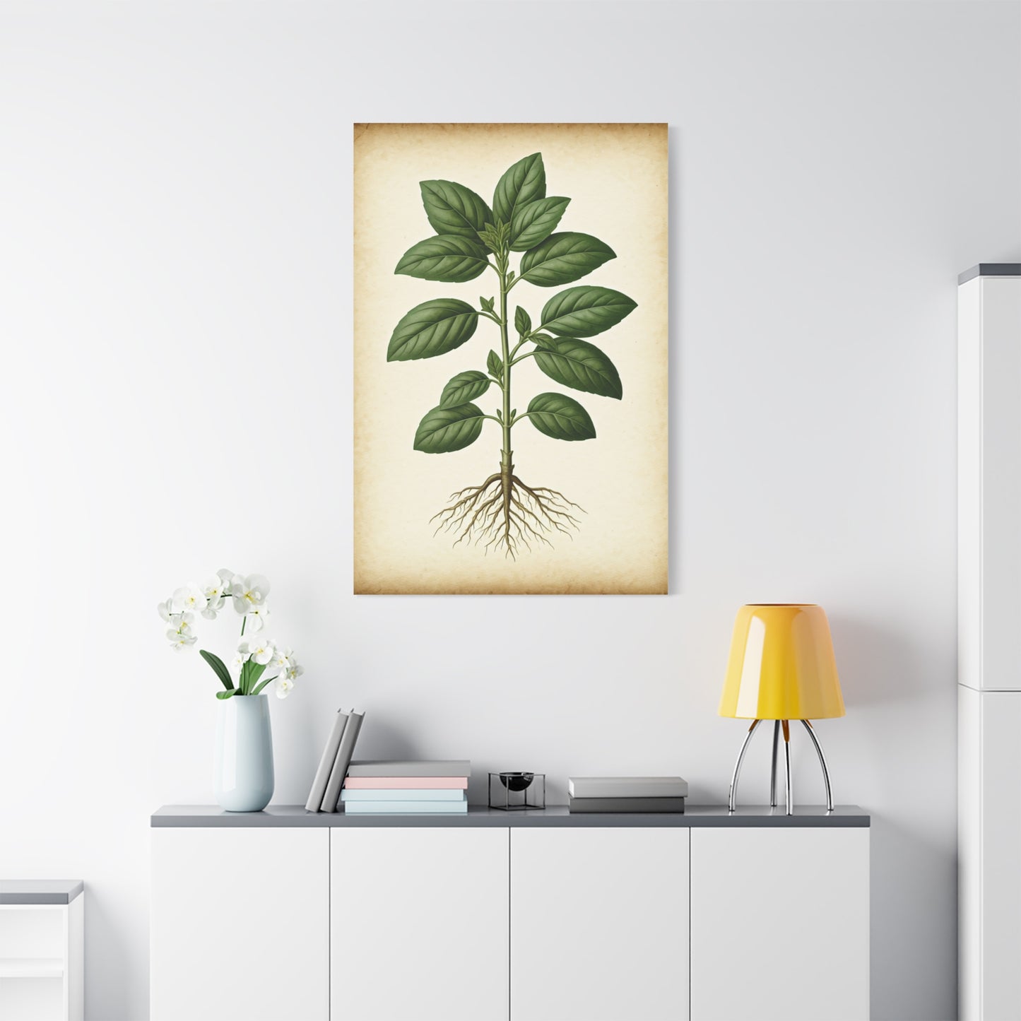 Basil Plant Herbal Illustration Wall Art & Canvas Prints
