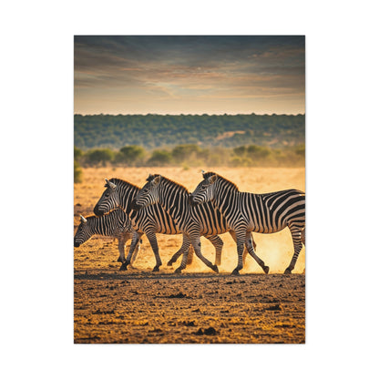 Zebra Duo Walking Across the Savannah Wall Art & Canvas Prints