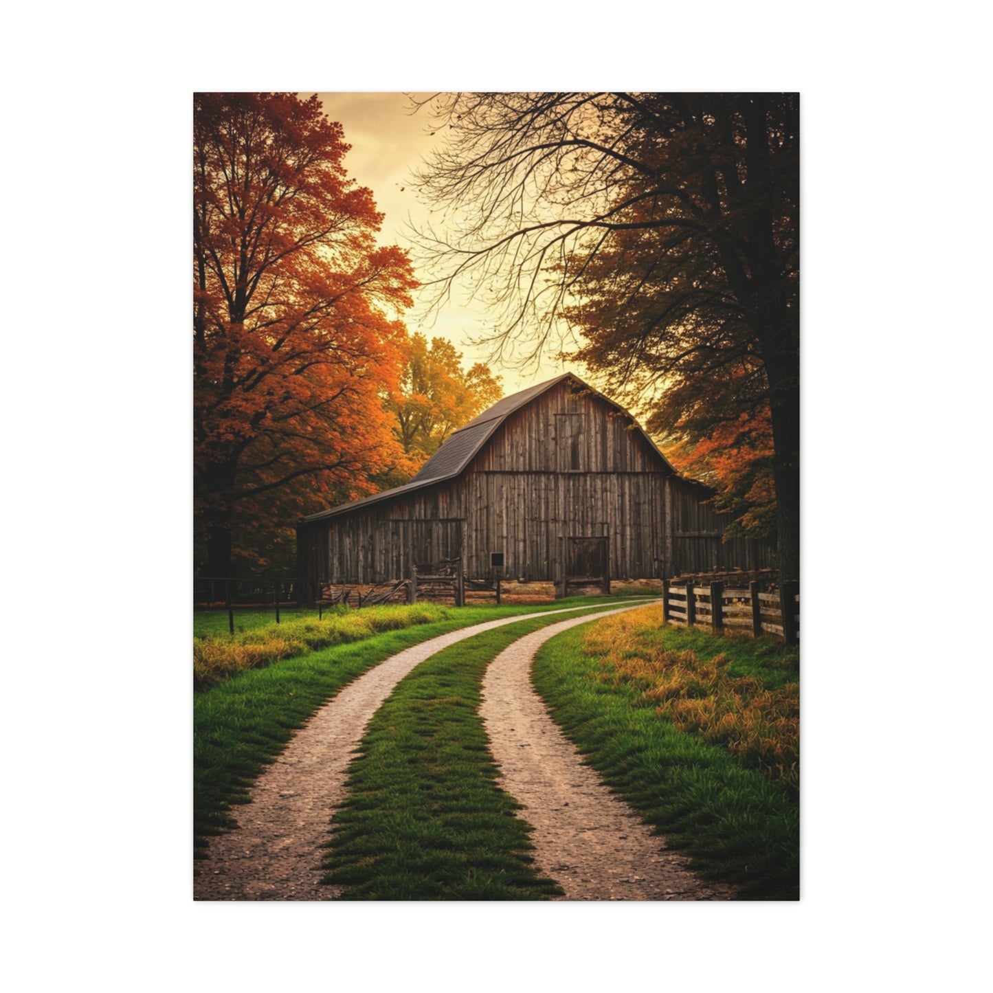 Autumn Barn Road at Golden Hour Wall Art & Canvas Prints
