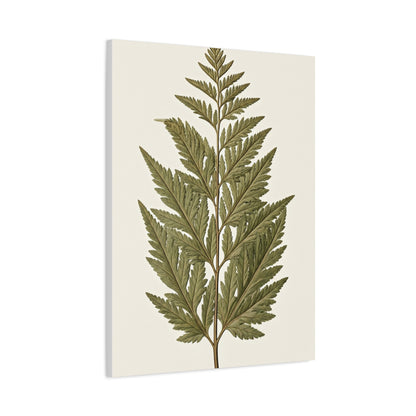 Classic Fern Illustration Wall Art & Canvas Prints