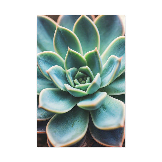 Sage Succulent Bloom Wall Art & Canvas Prints