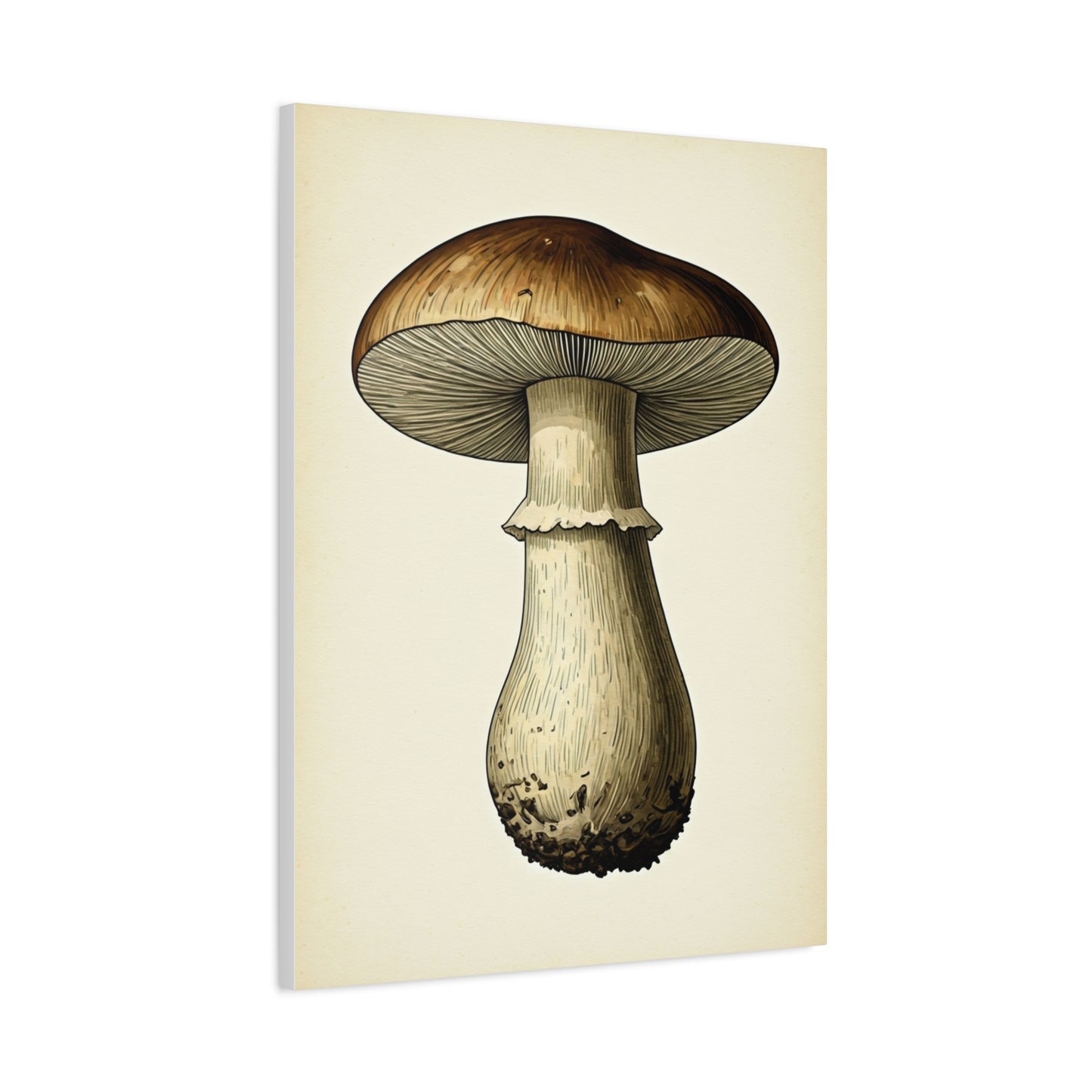 Mushroom Study Wall Art & Canvas Prints