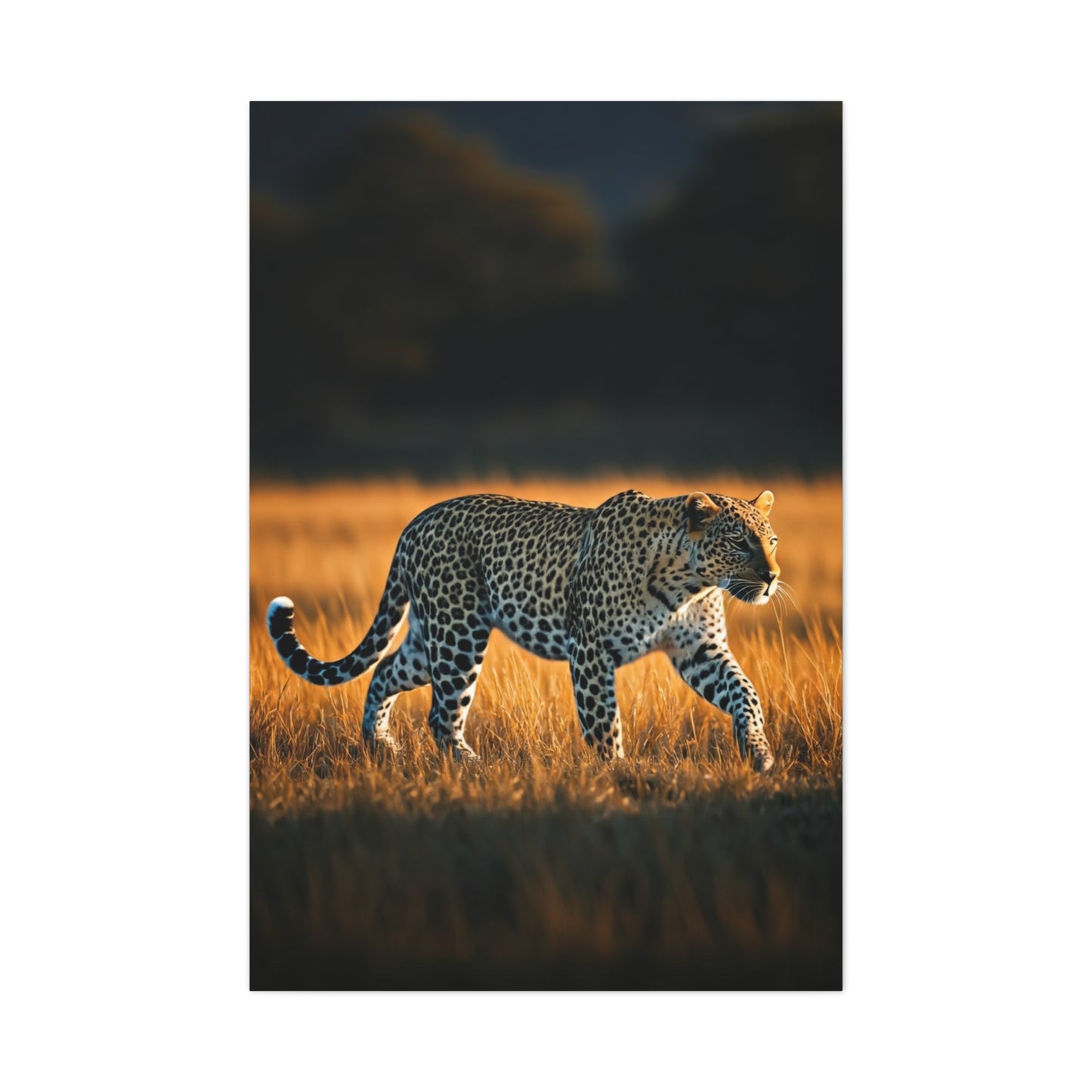 Lone Cheetah in Tall Grass Wilderness Wall Art & Canvas Prints