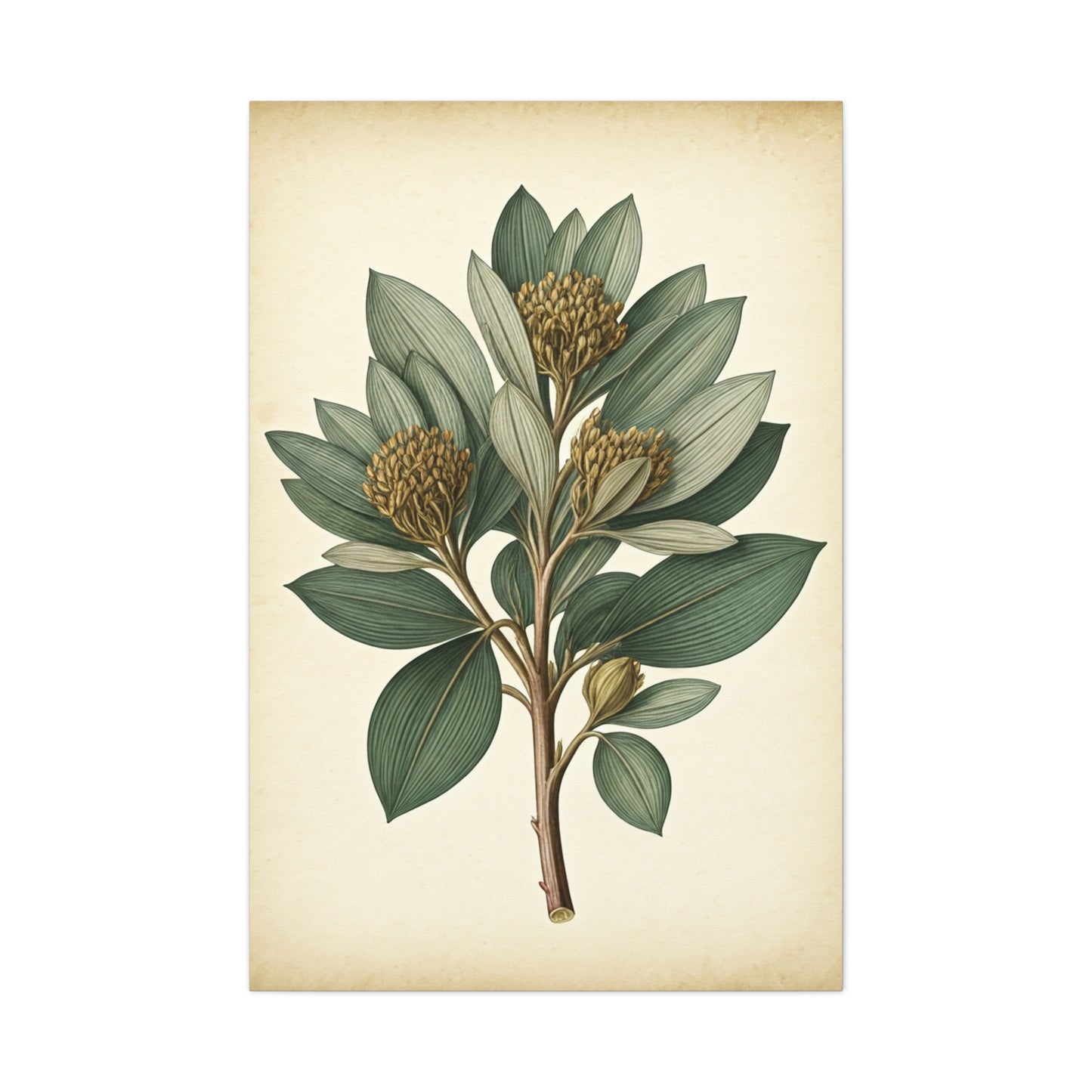 Floral Branch Illustration Wall Art & Canvas Prints