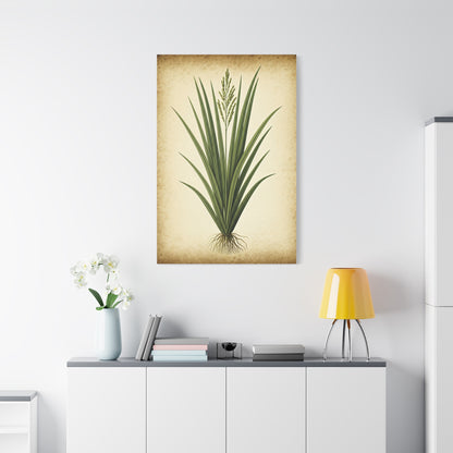 Wild Grass Illustration Wall Art & Canvas Prints