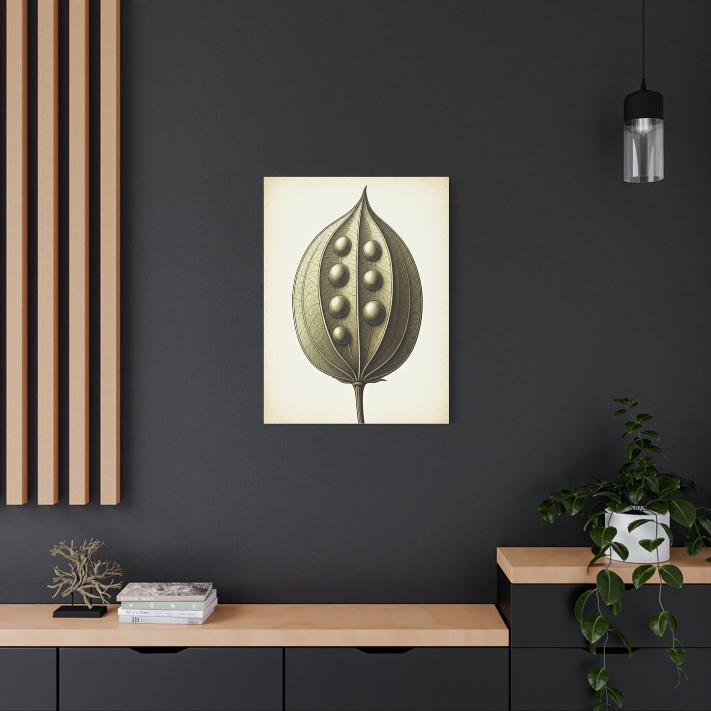 Seed Pod Study Wall Art & Canvas Prints