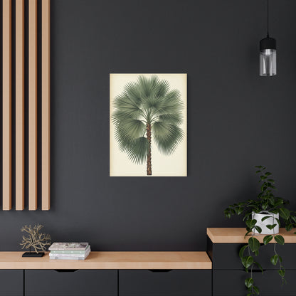 Fan Palm Leaf Tree Illustration Wall Art & Canvas Prints